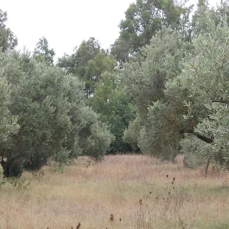 Domu De Campu * Pabillonis